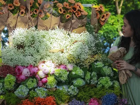 Giới trẻ tại Huế hào hứng với trào lưu checkin cùng xe hoa "chở đầy" mùa thu Hà Nội