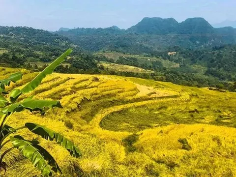 Bắt trọn "thời điểm vàng" tận hưởng và trải nghiệm Pù Luông đẹp nhất trong năm với chi phí chưa tới 2 triệu đồng