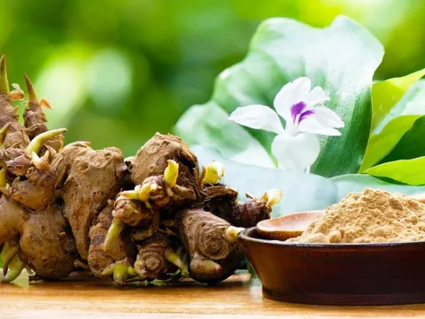 Nghiên cứu đột phá từ Nhật: Loại củ cực phổ biến ở Việt Nam có tác dụng ngăn ngừa ung thư