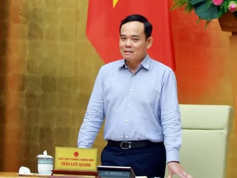 15 thành viên Tổ công tác cải cách thủ tục hành chính của Thủ tướng