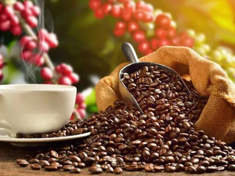 Giá tăng liên tục, xuất khẩu cà phê hướng đến mục tiêu kim ngạch 4 tỷ USD năm 2023