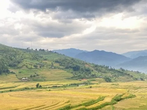 Mùa vàng mời gọi du khách tới “miền cổ tích” Ngọc Chiến