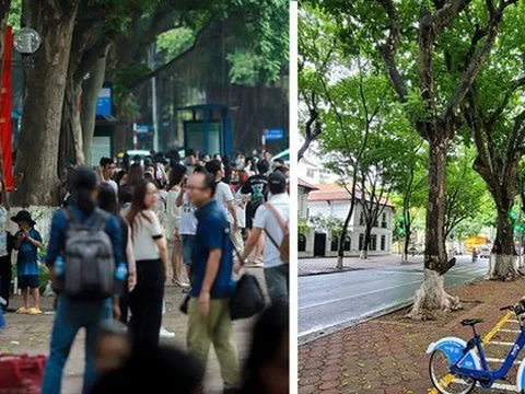 Hình ảnh lạ kỳ ở 'con đường Thu' Hà Nội sáng nay
