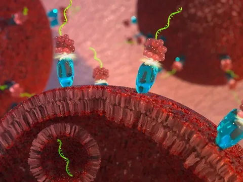 Đột phá: Tìm ra cách đảo ngược sự phát triển của ung thư