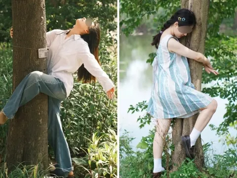 Ôm cây - liệu pháp chữa lành kỳ lạ của giới trẻ Trung Quốc