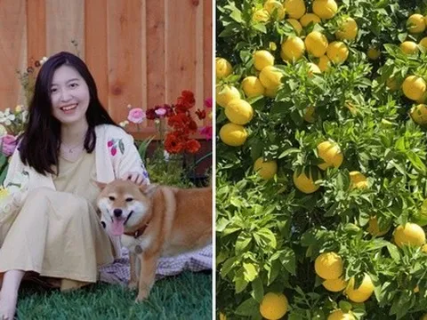 Khu vườn hoa trái xum xuê bị hái trộm, chủ nhân vẫn vui vẻ khi biết danh tính “thủ phạm”