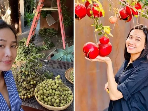 Đã mắt với vườn trái cây trong biệt thự của Hoa hậu Dương Mỹ Linh, có 1 góc đặc biệt ai xa quê cũng thích