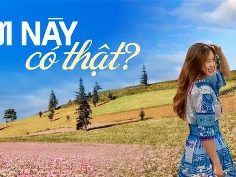 Các gia đình săn tìm thảo nguyên hồng, ngỡ nơi xa nhưng nằm trên cung đường khám phá vùng địa đầu Tổ quốc