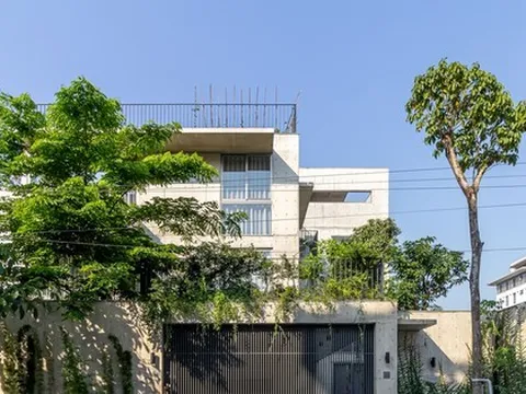 Ngắm ngôi nhà ở Bắc Giang làm hoàn toàn bằng bê tông
