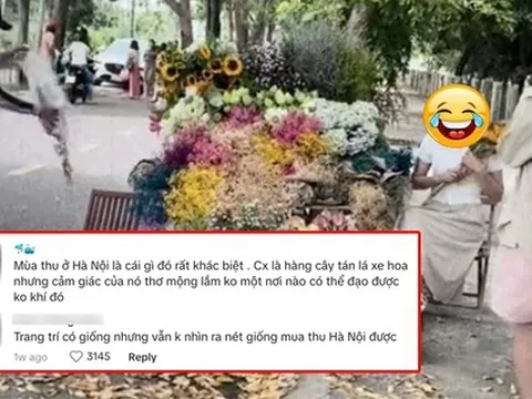 Màn bắt trend chụp ảnh xe chở hoa khiến dân mạng tranh cãi: "Không thể nào đẹp bằng mùa thu Hà Nội?"