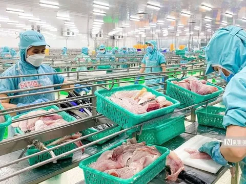 Kỳ vọng đột phá trong thương mại thủy sản Việt Nam - Hoa Kỳ