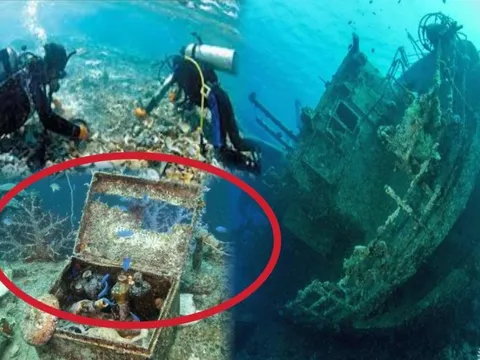 Siêu bão "thổi bay" hàng nghìn báu vật dưới đáy biển, các nhà thám hiểm đổ xô giải cứu, khôi phục gần 2.000 cổ vật huyền thoại 700 năm tuổi