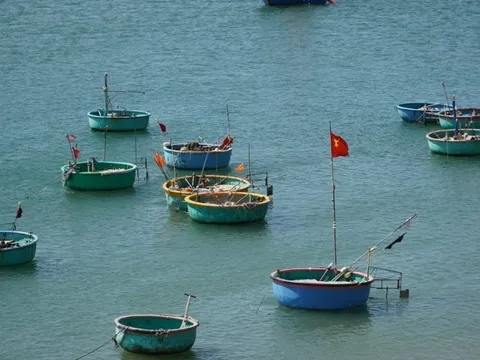 Bình Thuận: Thuyền thúng bị 1 phương tiện đâm va, thuyền viên mất tích