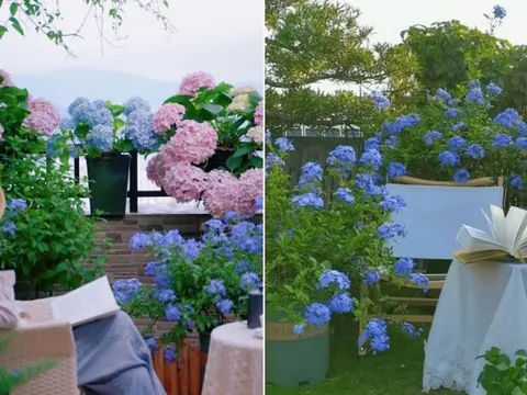 Cô gái mang cỏ lên trồng ở sân thượng, mùa hè không cần phải ra công viên vẫn có chỗ picnic siêu xinh
