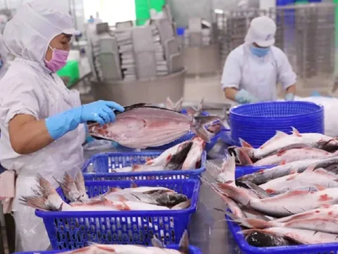 Xuất khẩu thủy sản vẫn “ngóng” tín hiệu, có thể đạt 9 tỷ USD trong năm nay