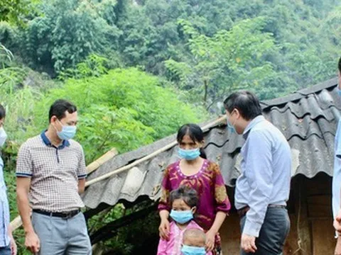 3 ca tử vong do bạch hầu, Bộ Y tế yêu cầu phát hiện sớm