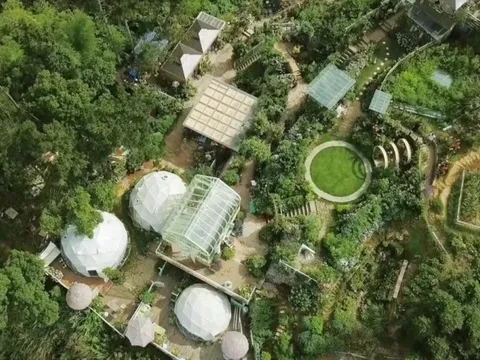 Người phụ nữ thuê 1.500m2 đồi trọc, bỏ hơn 10 tỷ đồng làm điều mọi người gọi là 'điên rồ' nhưng chỉ hơn 1 năm sau đã thu được 'trái ngọt'