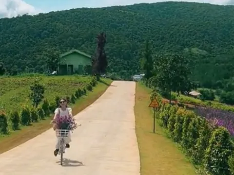Dân mạng truy lùng con đường thơ "hot nhất Đà Lạt" đang viral khắp mạng xã hội