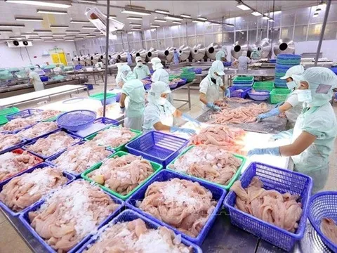 Doanh số xuất khẩu thủy sản chưa thể bứt phá