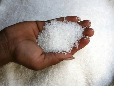 Sau gạo, giá đường "nối đuôi", cao nhất trong 12 năm qua