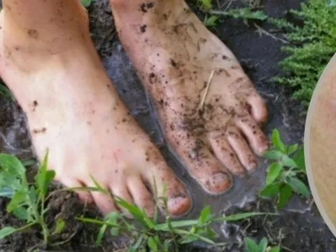 Cách phòng bệnh Whitmore khi chưa có vaccine