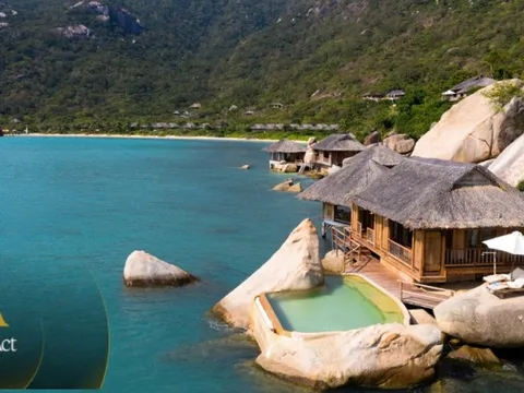 Nơi đặc biệt bên bờ Vịnh Ninh Vân: Mỗi trải nghiệm là một hành động "đáp đền" Mẹ Thiên Nhiên