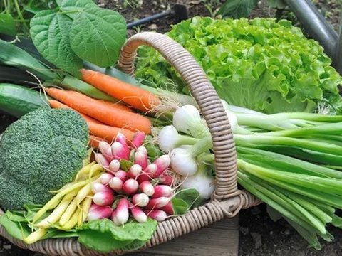 Gia đình trẻ rời nhà phố chật hẹp, về sống trong ngôi nhà có vườn rau xanh mướt