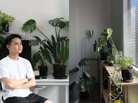 Nam sinh viên kiến trúc tự bài trí phòng thuê trở nên xịn xò