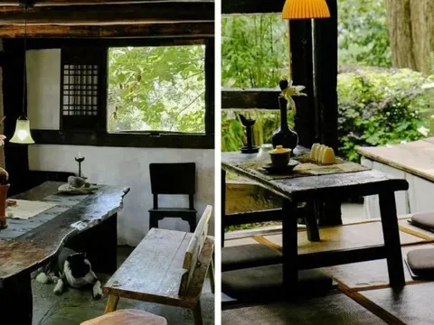 Cặp vợ chồng lên núi thuê căn nhà gỗ cũ hơn 3 triệu đồng/tháng: Làm nơi thưởng trà, tận hưởng cuộc sống nhàn nhã!