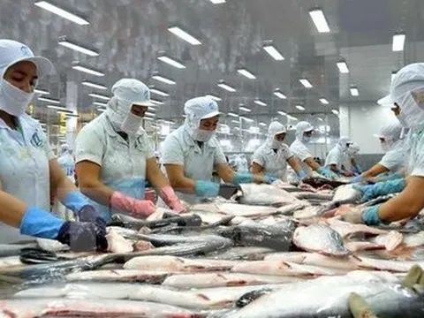 Kinh tế khó khăn, xuất khẩu cá tra sang Đức liên tiếp giảm