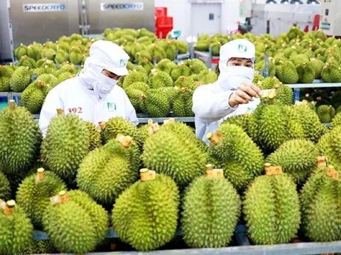 9 tháng đầu năm, xuất khẩu nông lâm thủy sản ước đạt 38,5 tỷ USD