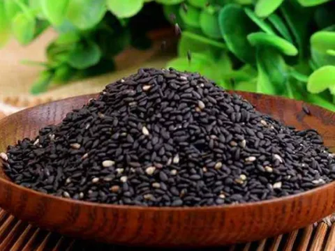 1 loại thực phẩm là "vua bổ xương", "thuốc chống ung thư tự nhiên": Rất sẵn ở Việt Nam