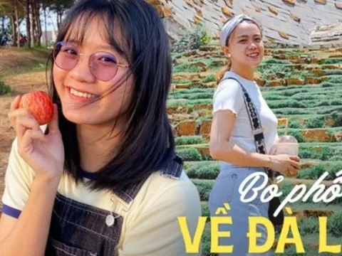 Bỏ phố về Đà Lạt: Từng làm ngân hàng 7 năm cũng không tìm được việc, lương thấp nhưng chi phí sinh hoạt không hề rẻ