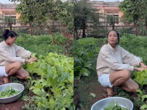 Vườn rau xanh mướt ở quê nhà của H'Hen Niê: Bắp cải, cà chua, đậu đũa... chen chúc, cứ bước ra là có đồ ăn