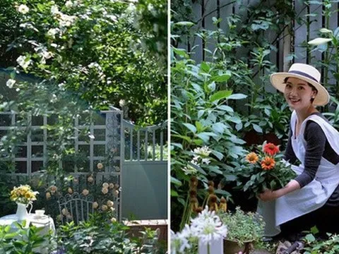 Làm vườn kiểu Pháp để sống như trong cổ tích được hàng chục nghìn người hâm mộ