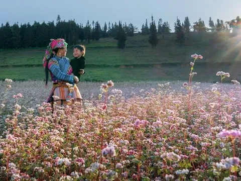 Chi phí đi thảo nguyên Suôi Thầu ngắm vẻ đẹp "3 phần hoang sơ, 7 phần thơ mộng" ở Hà Giang