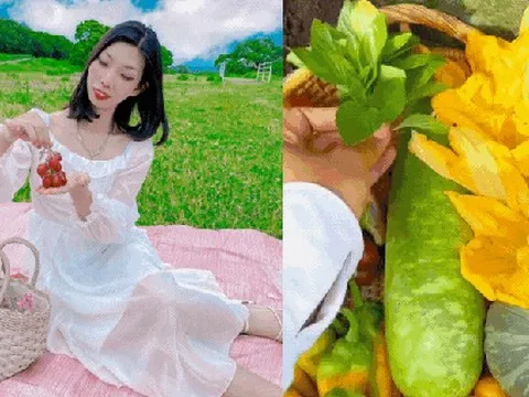 Chỉ tốn 1 triệu/năm thuê đất, cô gái Việt sống ở Nhật sở hữu khu vườn ngập cây trái