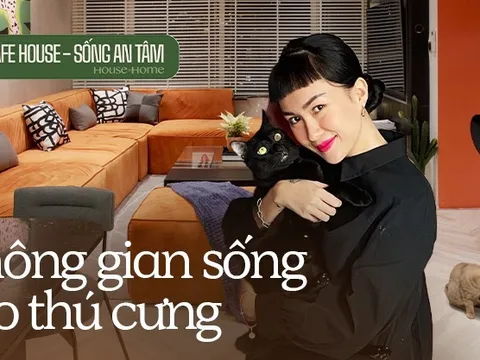 NTK nội thất chỉ ra điều quan trọng cho nhà có thú cưng: Chó cần lưu ý về sofa, mèo cầu kỳ hơn thế