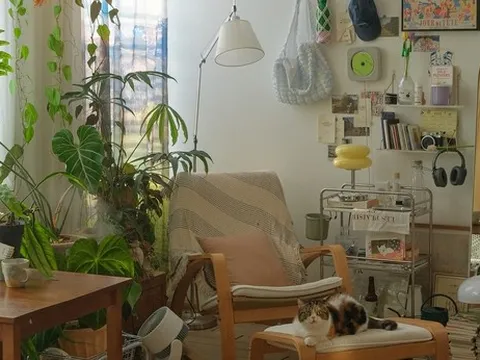 Nhập hội đam mê “bê cả khu vườn" vào nhà, có người chi đến 50 triệu mua cây