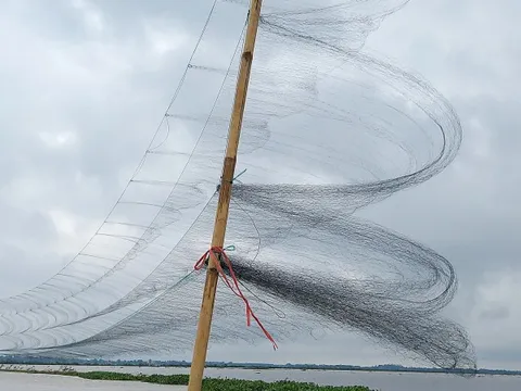 CLIP: Hình ảnh đau nhói bên "ma trận" tận diệt chim trời ở Quảng Trị