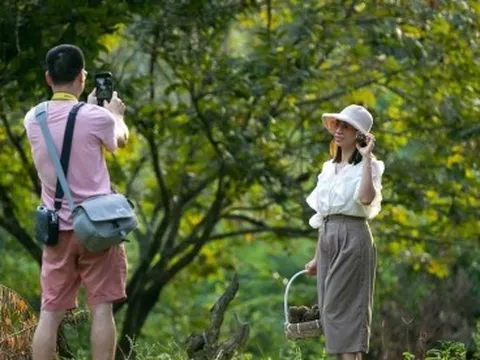 Du khách hào hứng với trải nghiệm tại thủ phủ trồng dẻ Cao Bằng