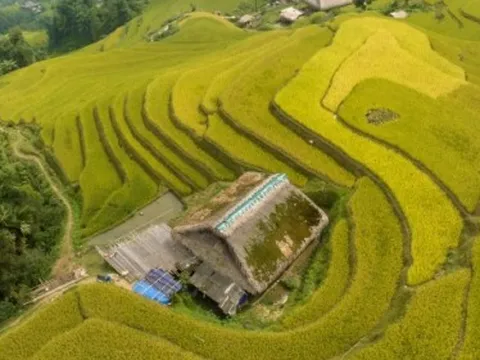 Ngắm mùa vàng ở Xà Phìn (Vị Xuyên, Hà Giang)