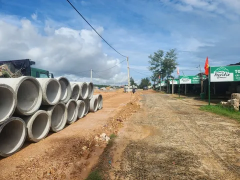 Vi phạm Luật Đê điều, một Ban quản lý dự án huyện bị phạt nặng