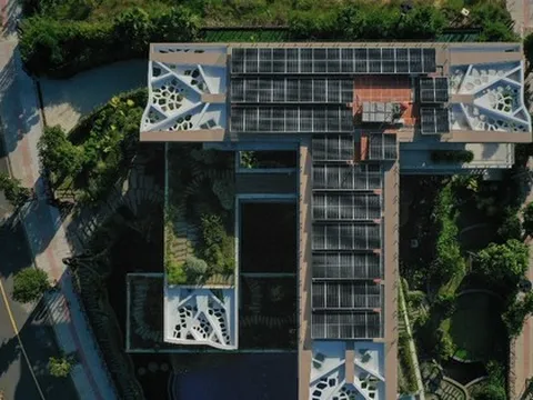 Biệt thự chuồn chuồn kết hợp bể bơi vô cực và hồ cá Koi