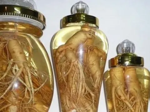 Tác hại của rượu đinh lăng