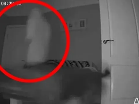 Lắp camera theo dõi thú cưng, cặp đôi phát hiện điều kỳ dị trong căn nhà cổ 135 năm tuổi