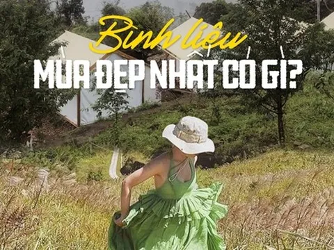 Đồi bông lau đung đưa giữa trời ở Quảng Ninh cùng trải nghiệm nghỉ dưỡng trên mây khó quên