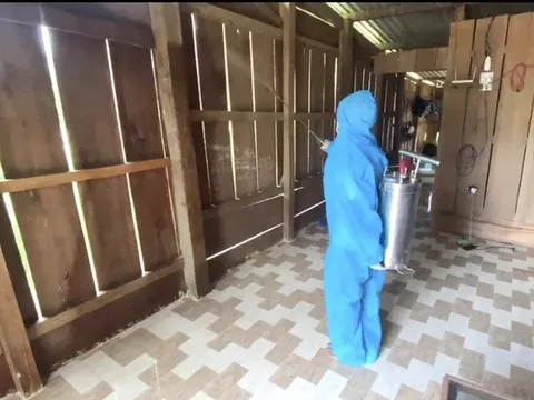 Bộ Y tế: Số ca mắc sốt rét tăng hơn 10% so với cùng kỳ năm 2022