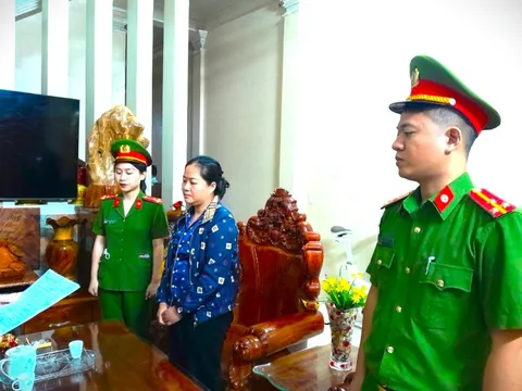 Bà Phan Thị Hồng Thuận bị khởi tố vì tội "Trốn thuế"