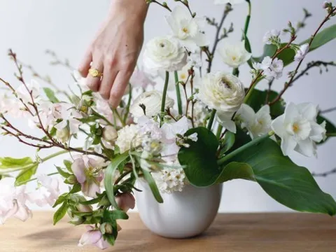 Những cách cắm hoa vừa dễ vừa đẹp để trang trí nhà